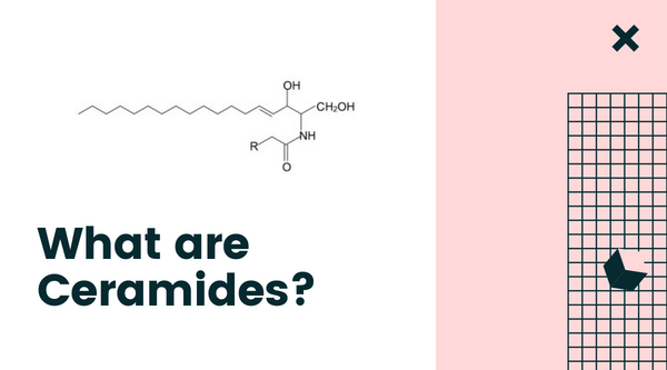 All You Need to Know About Ceramides